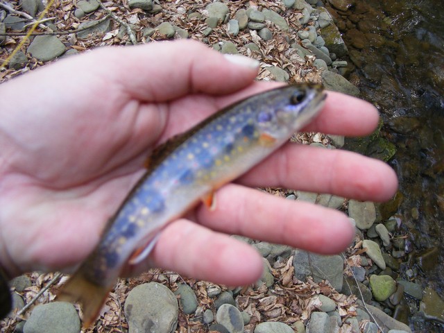 112_4f63bf0cd1124.jpg 640X480 px