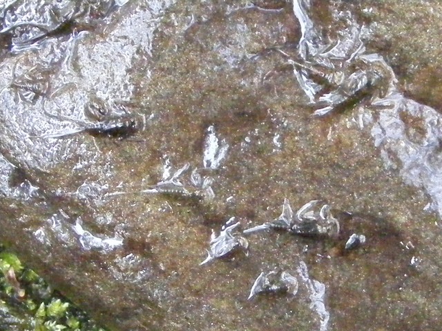 112_4f63bf3d94af1.jpg 640X480 px
