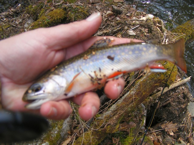 112_4f63bf689cf0e.jpg 640X480 px