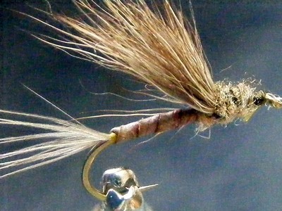 112_515313b39cecb.jpg 400X300 px