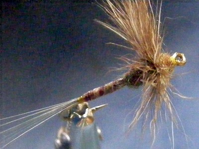 112_51531759b9693.jpg 400X300 px