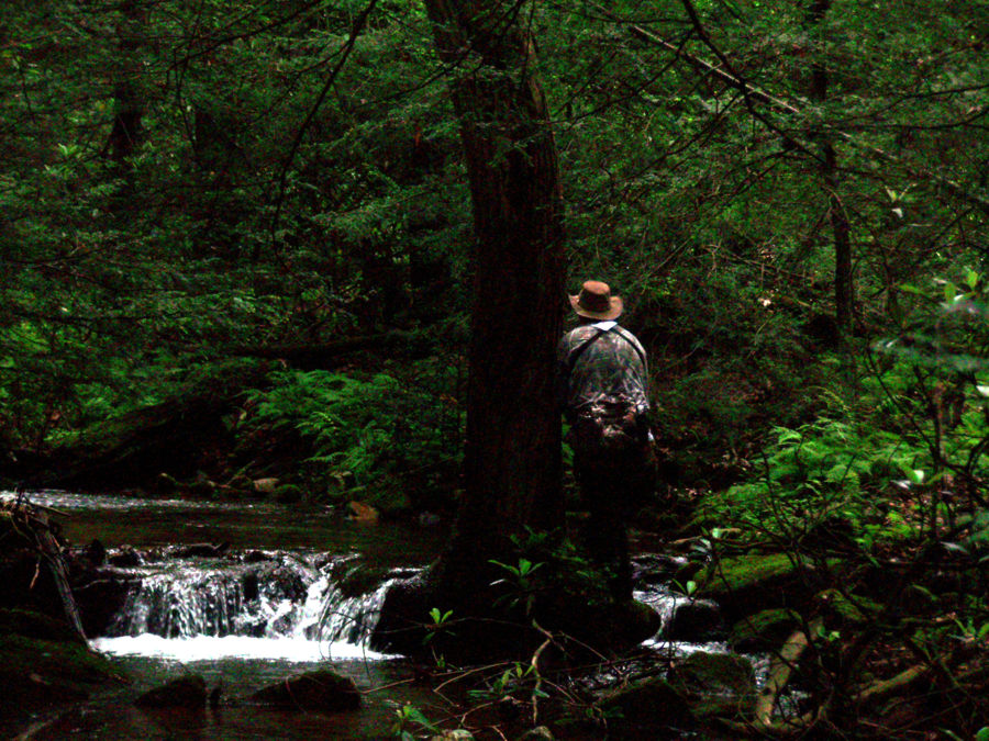 1353_5119a24fbaf15.jpg 900X675 px
