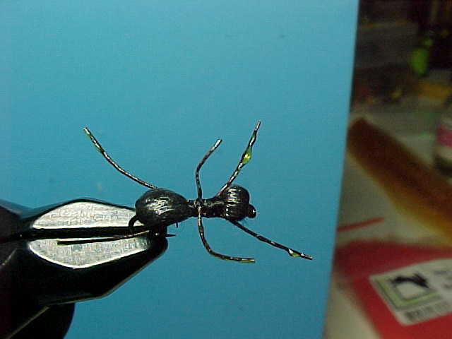 159_4f4bf973bb8b7.jpg 640X480 px