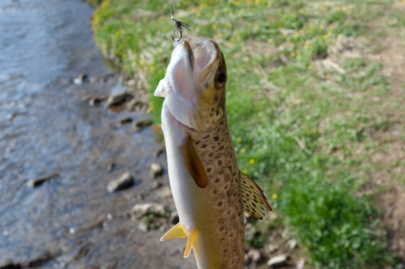 15_4f69c500e2501.jpg 800X533 px