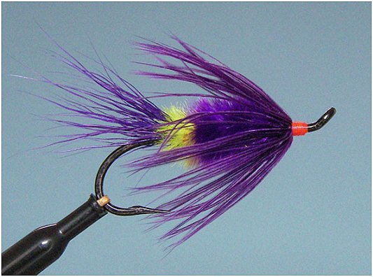1637_4efa6fd9c8839.jpg 533X396 px