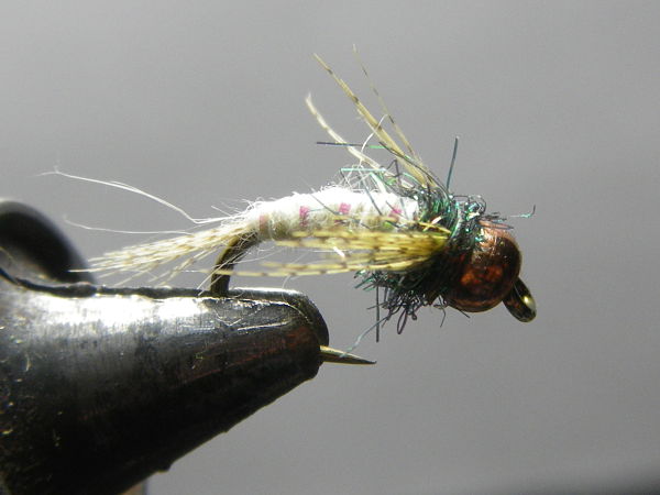 1869_4f272c37b7b01.jpg 600X450 px