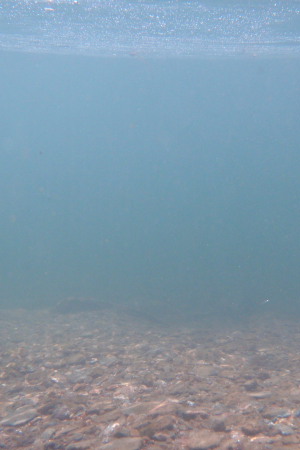 1899_4f52a97a60912.jpg 300X450 px