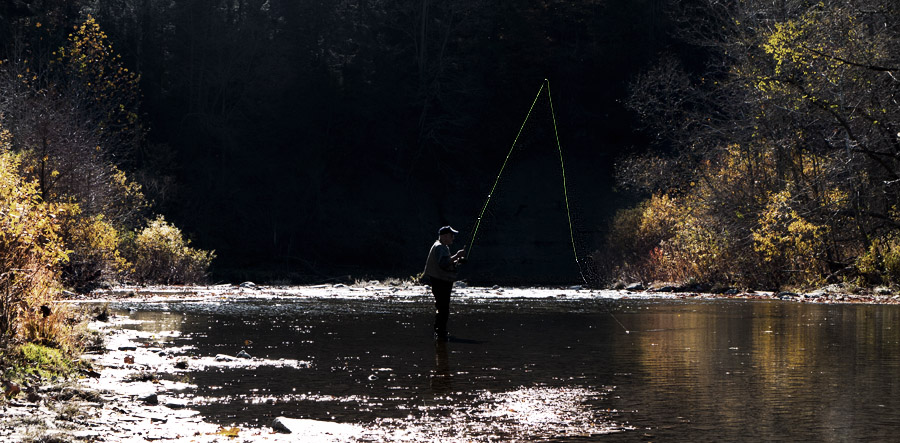2007_4ec72d8ac90de.jpg 900X443 px