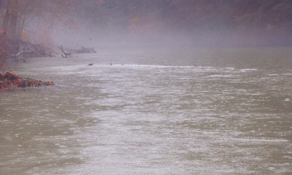 2007_4ede5f9876dfb.jpg 1000X602 px