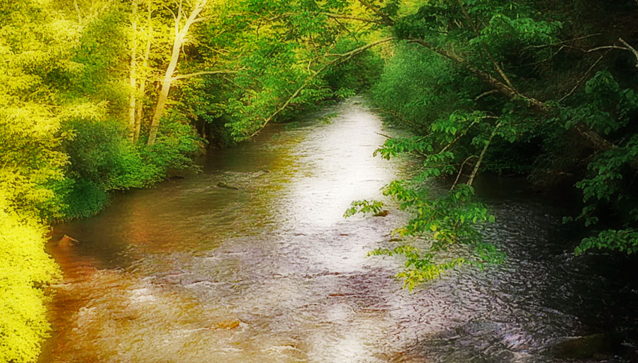 2007_4fd0ec8df4011.jpg 900X512 px