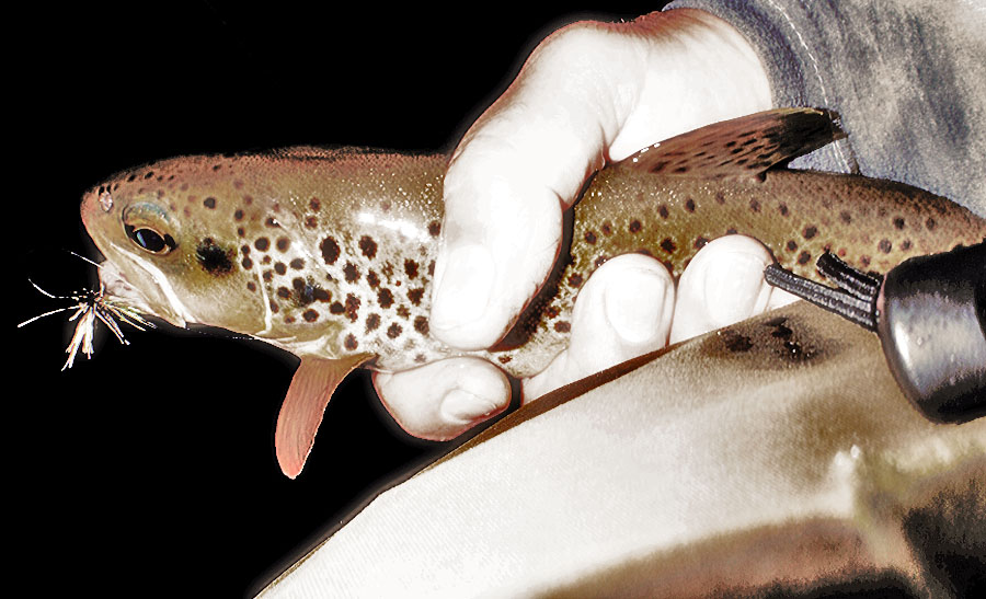 2007_4fd0ec9b87c24.jpg 900X547 px