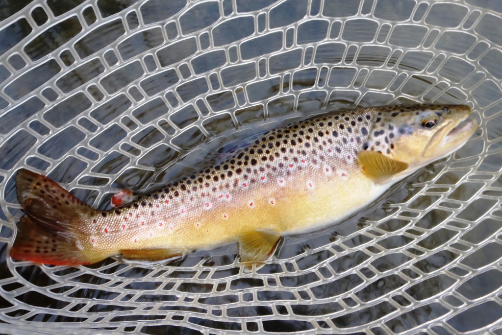 2101_4bc9e435927d4.jpg 1024X684 px