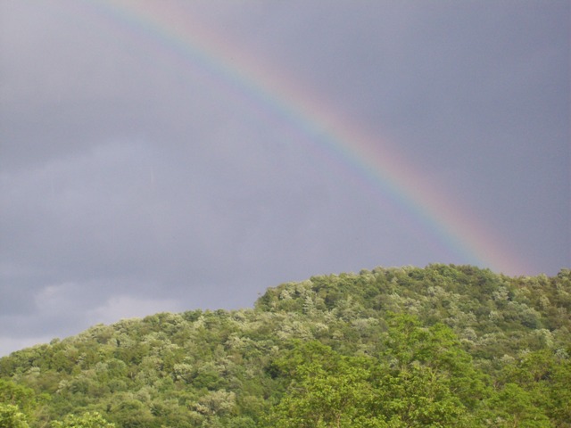2515_4fd54bb9ec977.jpg 640X480 px