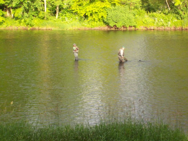 2515_4fd54bda2eadc.jpg 640X480 px