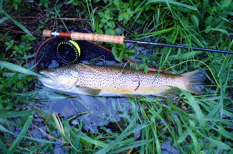 2548_4f760d0ec9884.jpg 480X318 px