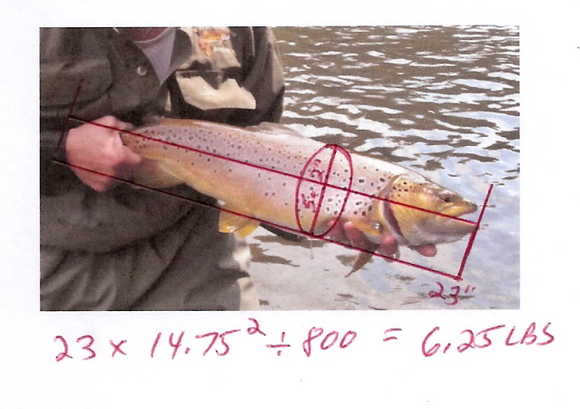 26_4ff11821a937b.jpg 639X451 px