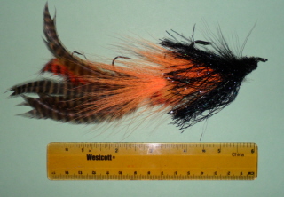 26_50ca70ff37239.jpg 320X222 px