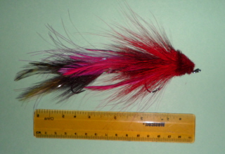 26_50db355921676.jpg 320X219 px