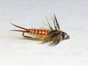 26_513b60a256284.jpg 293X220 px
