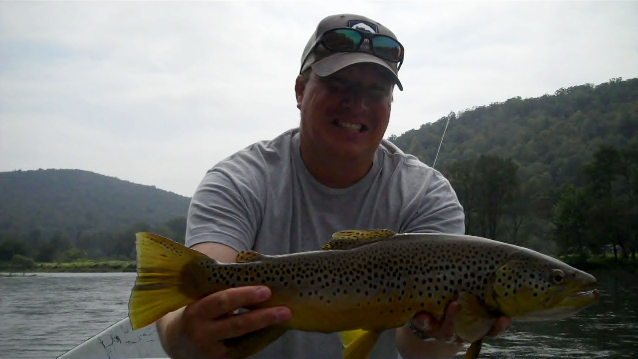 2729_4e63bc9b934e9.jpg 1280X720 px