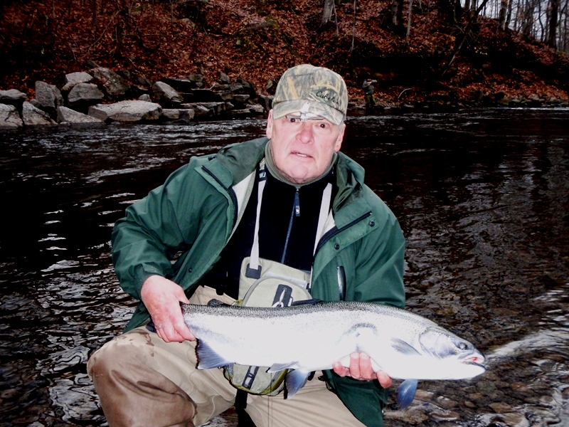 2729_4ef0ccb27571f.jpg 800X600 px
