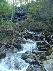 2769_4f7d89b6f10a7.jpg 180X240 px