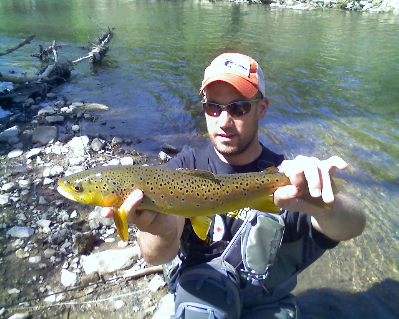 2898_4d3c46cb2a51f.jpg 1280X1024 px