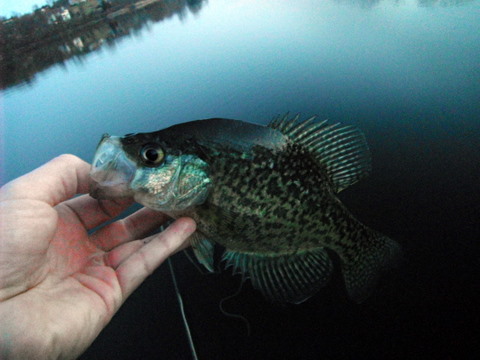 3067_4f6147b455f6b.jpg 480X360 px