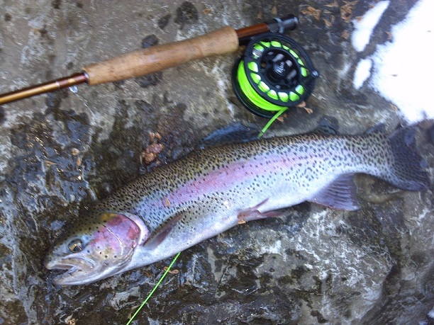 3478_50fd57ecb3393.jpg 612X459 px