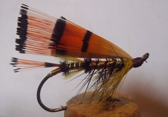 3595_4f68949b76455.jpg 570X397 px