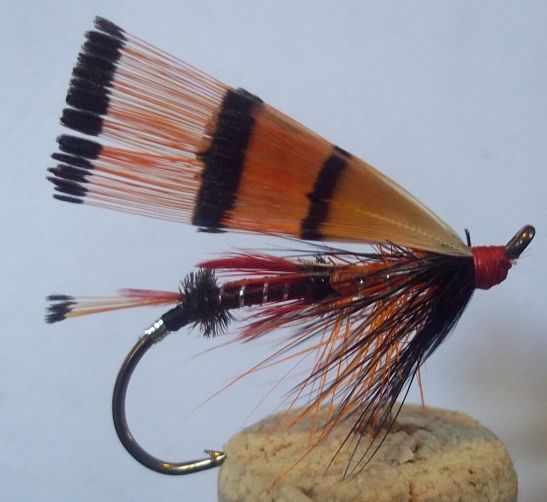 3595_4f68bb6c40003.jpg 547X502 px