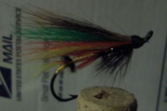 3595_4f86ad0b15102.jpg 550X367 px