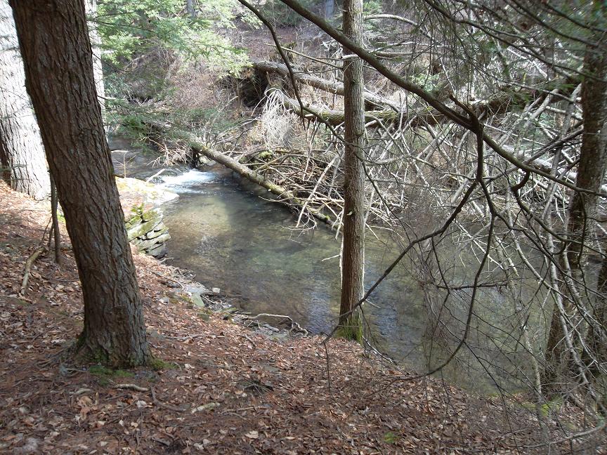 387_4f553ea791f2e.jpg 864X648 px