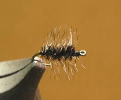 4886_4f32a6de0ee89.jpg 240X200 px
