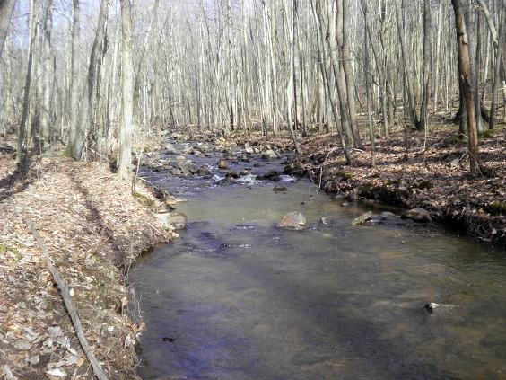 5058_4f54132527214.jpg 564X423 px
