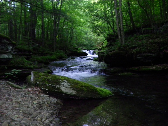 5058_4fd7dba5f296f.jpg 564X423 px