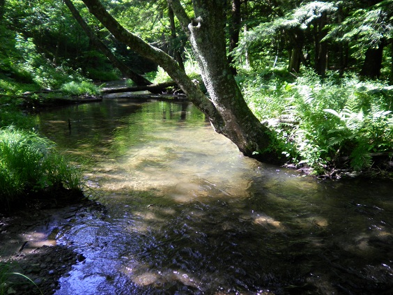 5058_4fd7dc0e41230.jpg 564X423 px