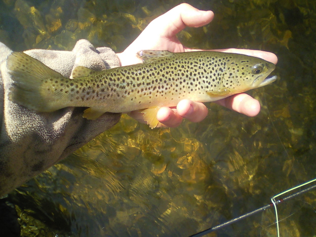 5782_4f4d743117b58.jpg 640X480 px