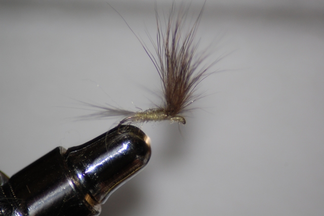 5814_5122abfbc0760.jpg 640X426 px
