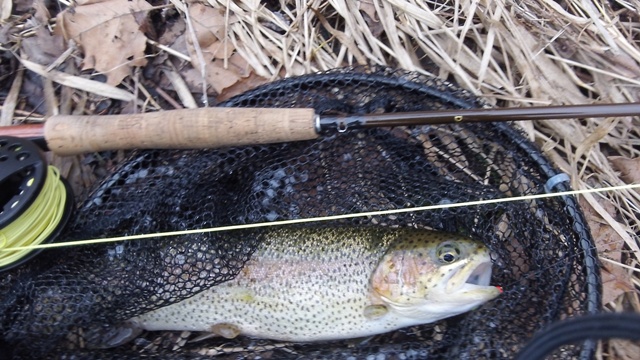 5814_514386ce31f68.jpg 640X360 px