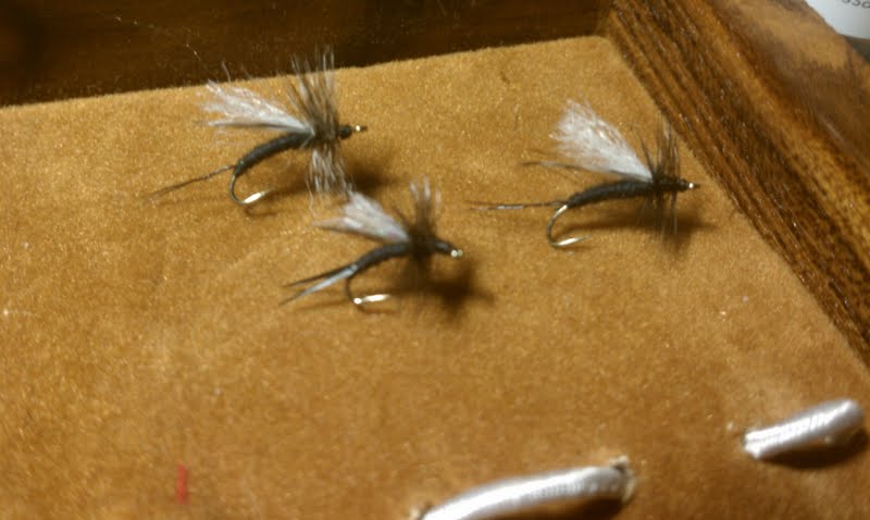 5989_4f4ef3934f8e2.jpg 800X478 px
