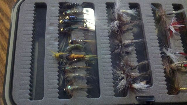 7139_50fad29ea524a.jpg 640X361 px