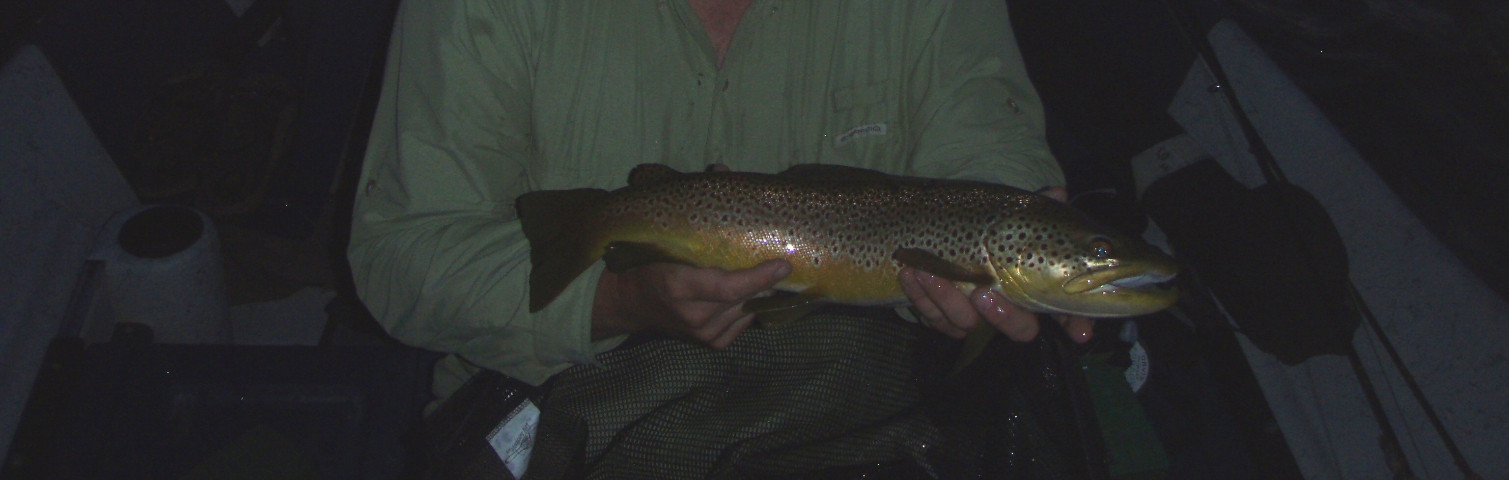 772_4d3b677662bcc.jpg 3072X978 px