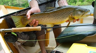 874_4dcd31058232d.jpg 320X177 px