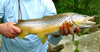 874_4dcd3113268e3.jpg 320X167 px
