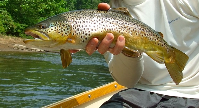 874_4fcd4d1cc5e44.jpg 640X350 px