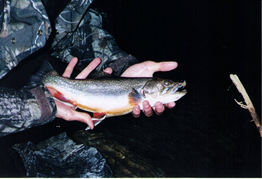 957_508892af09c83.jpg 860X589 px