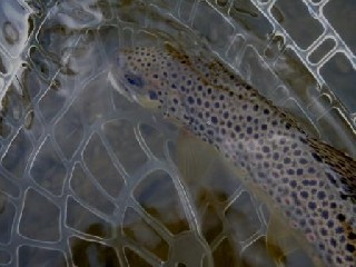 2101_4c4ec40d4f751.jpg 448X336 px
