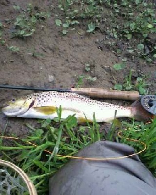 2121_4d9362c71996f.jpg 384X480 px