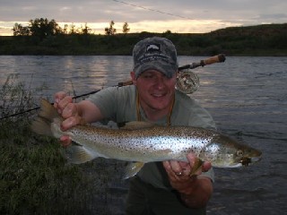 2729_4e172cd3f0d74.jpg 448X336 px